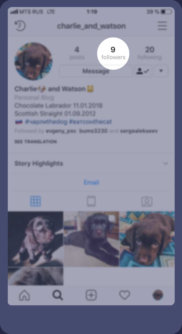 Screenshot of the Instagram account of our client charlie_and_watson. There were 9 followers before cheating